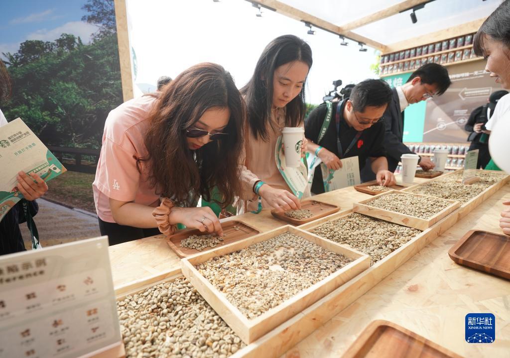 支付宝棋牌平台